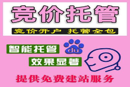 案例解读：SEM推广优化实战要点